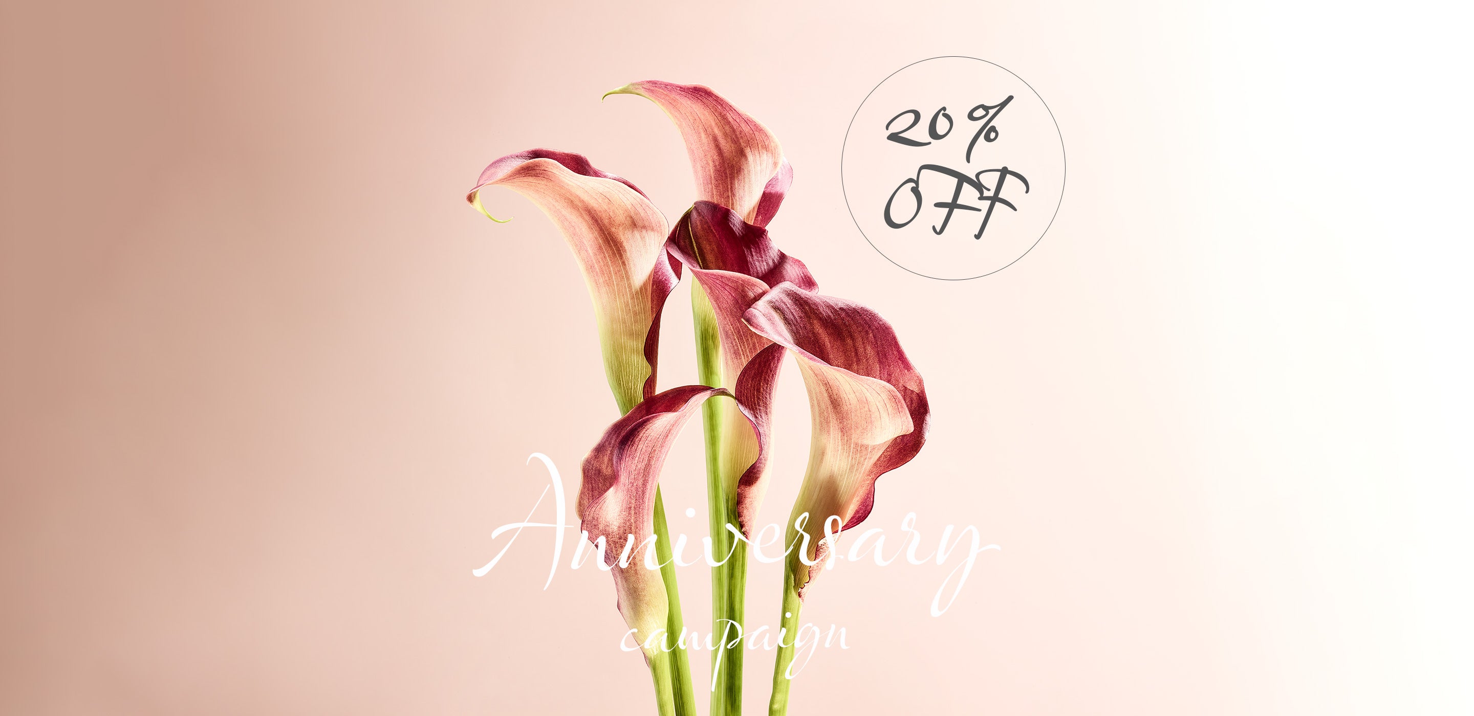 ◆創業祭◆ANNIVERSARY CAMPAIGN